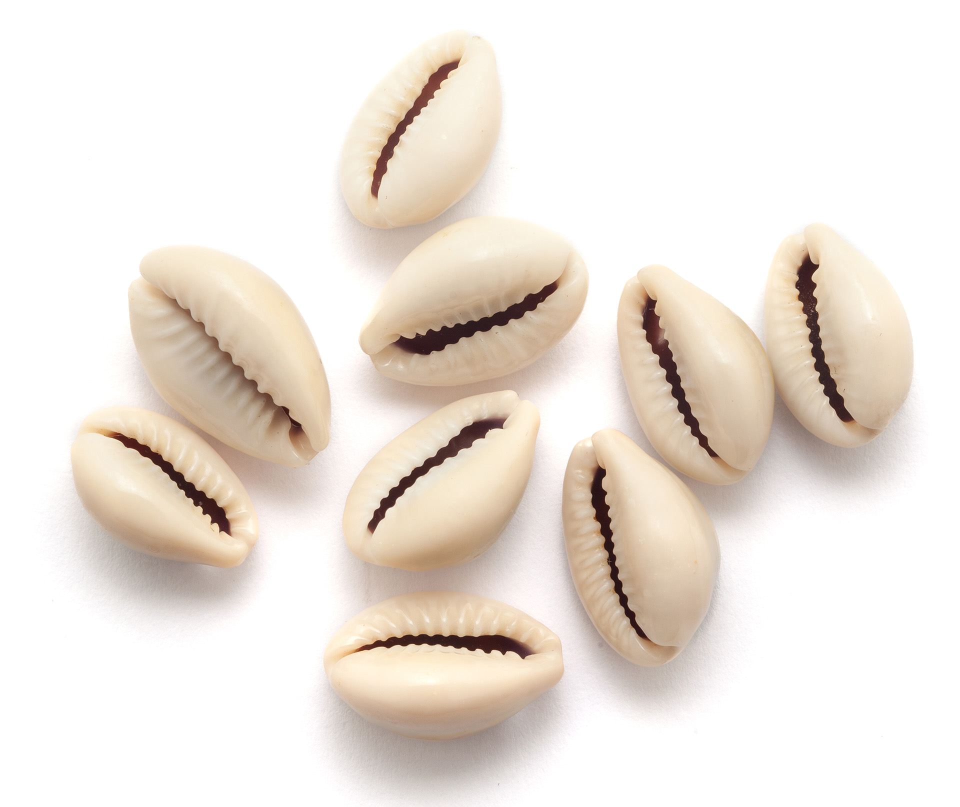 Cowries