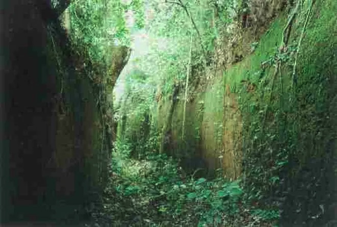 Benin Moat and Rampart Today